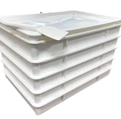 Dough Proofing Tray Starter Set